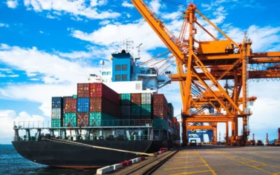 Navigating the South African Supply Chain Landscape with Connect Logistics
